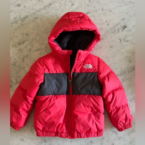 North Face Moondoggy Hoodie Jacket Girls Toddler Size 2T Puffer Coat - Picture 1 of 7